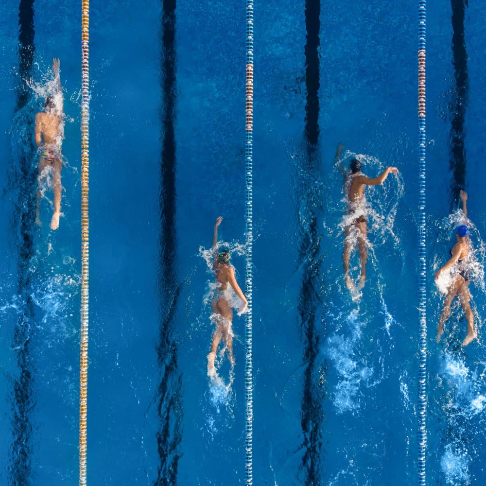 group of swimmers training in an outdoor pool top view